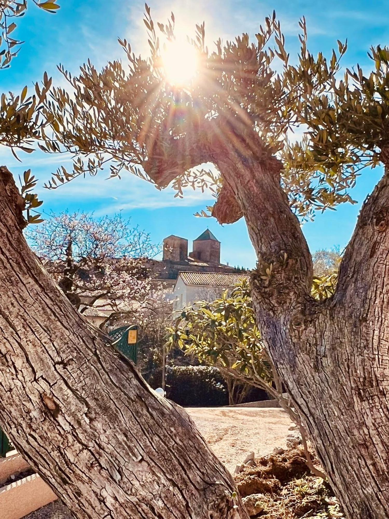 Melisande Au Pays Des Orjouliers Saint-Jean-de-Fos Exteriér fotografie