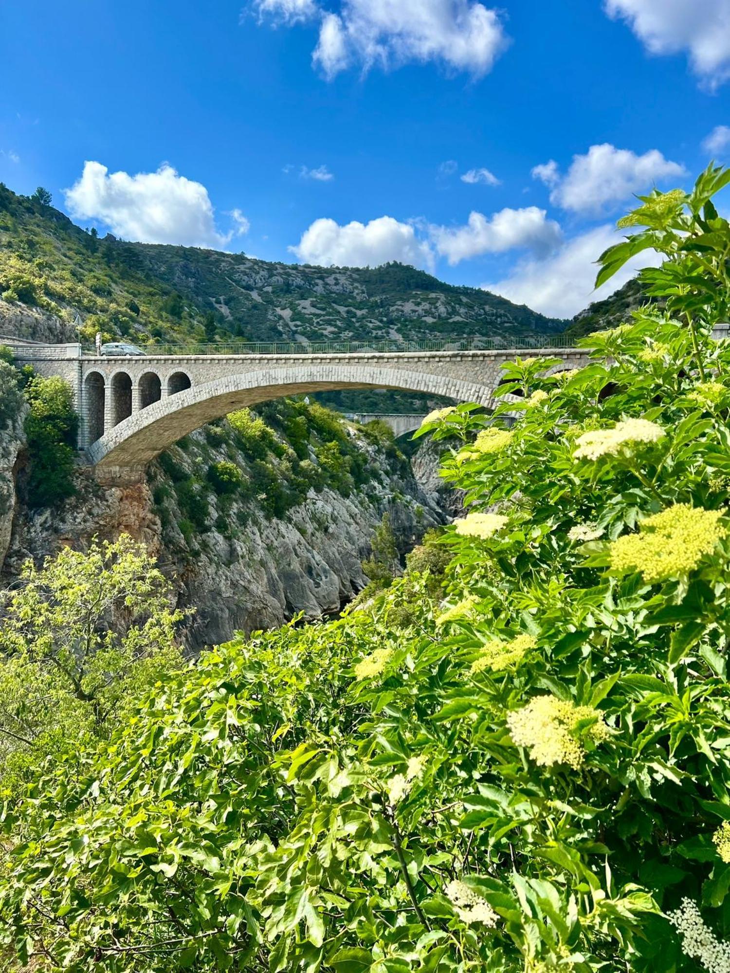 Melisande Au Pays Des Orjouliers Saint-Jean-de-Fos Exteriér fotografie